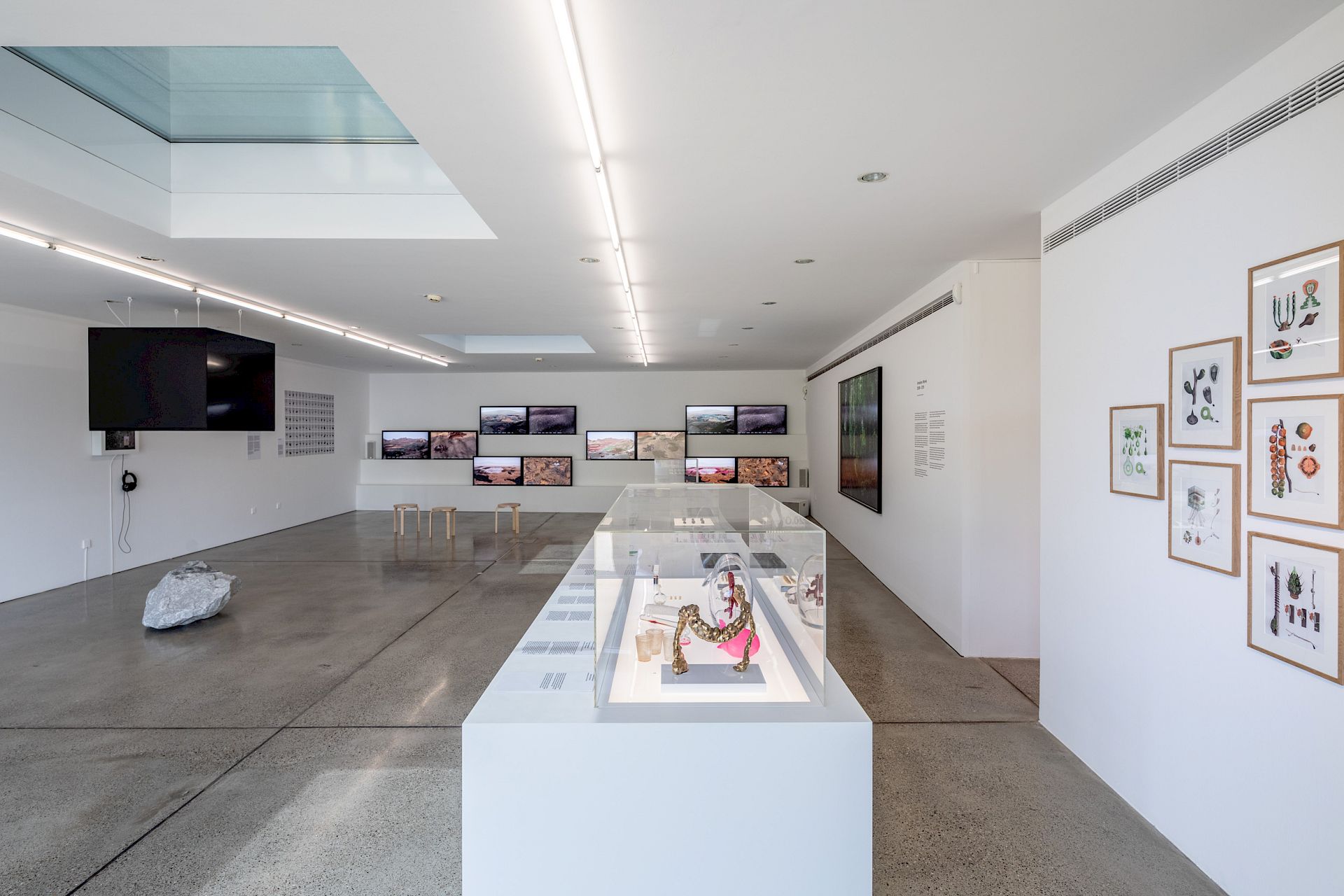 Better Nature, Vitra Design Museum Gallery